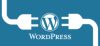 WordPress Brute Force Çözümü