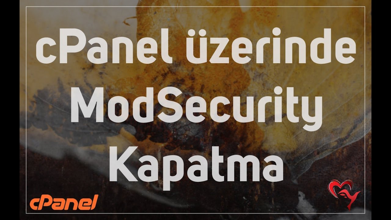 cPanel üzerinden Modsecurity Kapatma