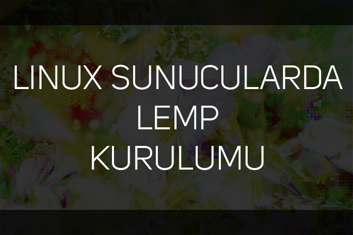 Linux LEMP Kurulumu (Nginx, Mysql, PHP)