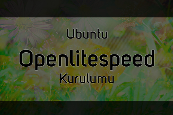 Ubuntu Openlitespeed Kurulumu