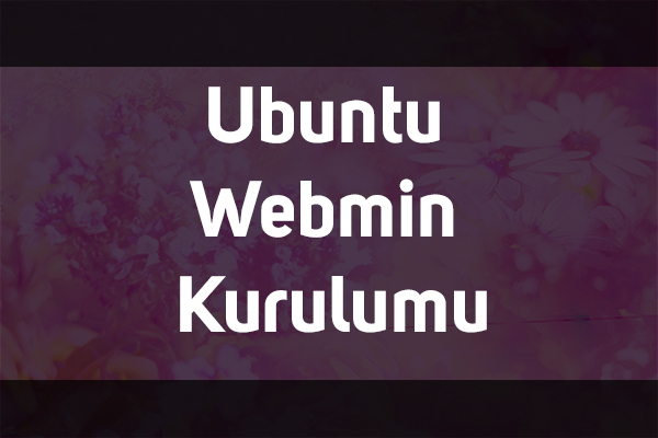 Ubuntu Webmin Kurulumu
